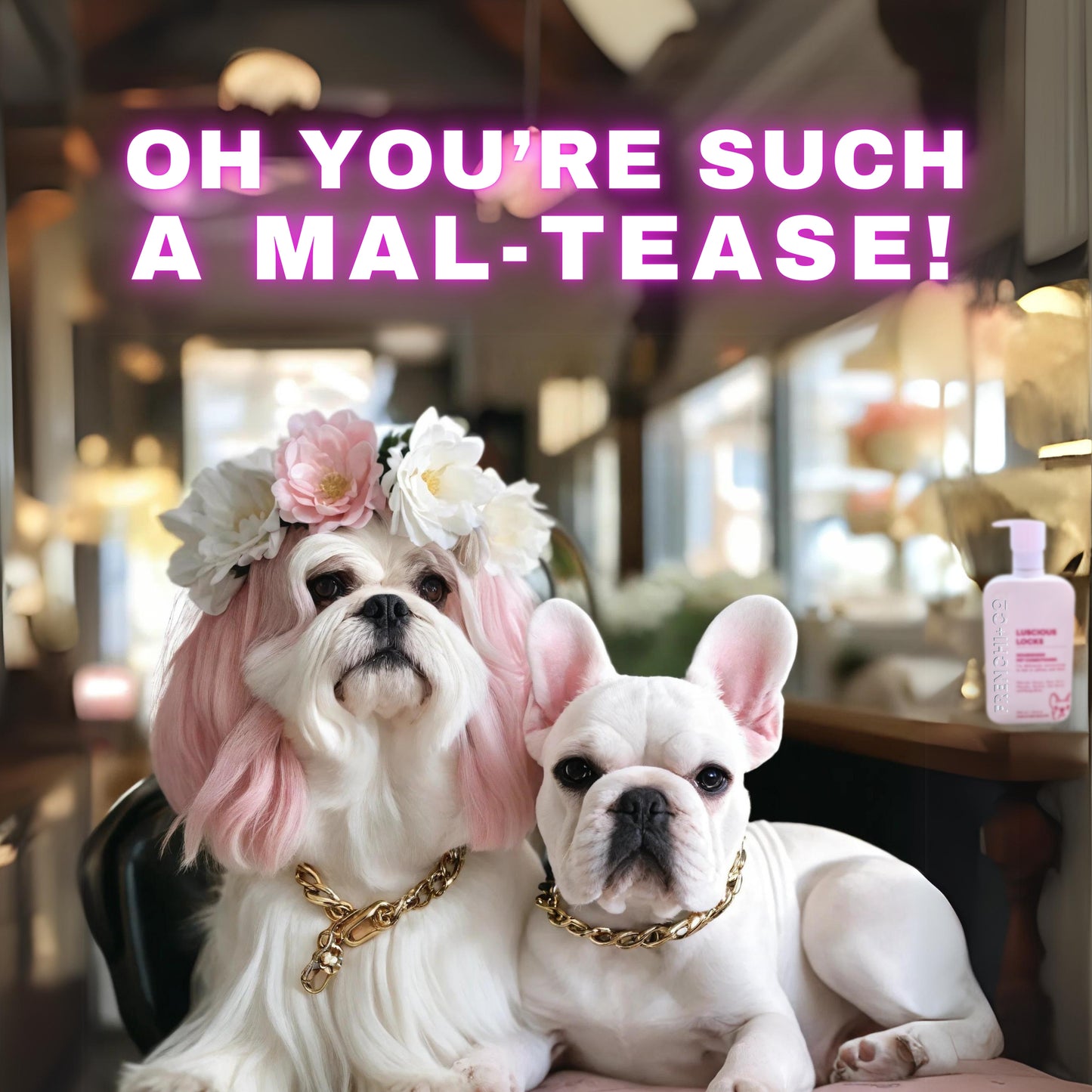 LUSCIOUS LOCKS   |   Nourishing Pet CONDITIONER