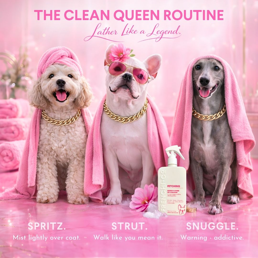 FETCHING   |   Refresh & Shine Pet COLOGNE