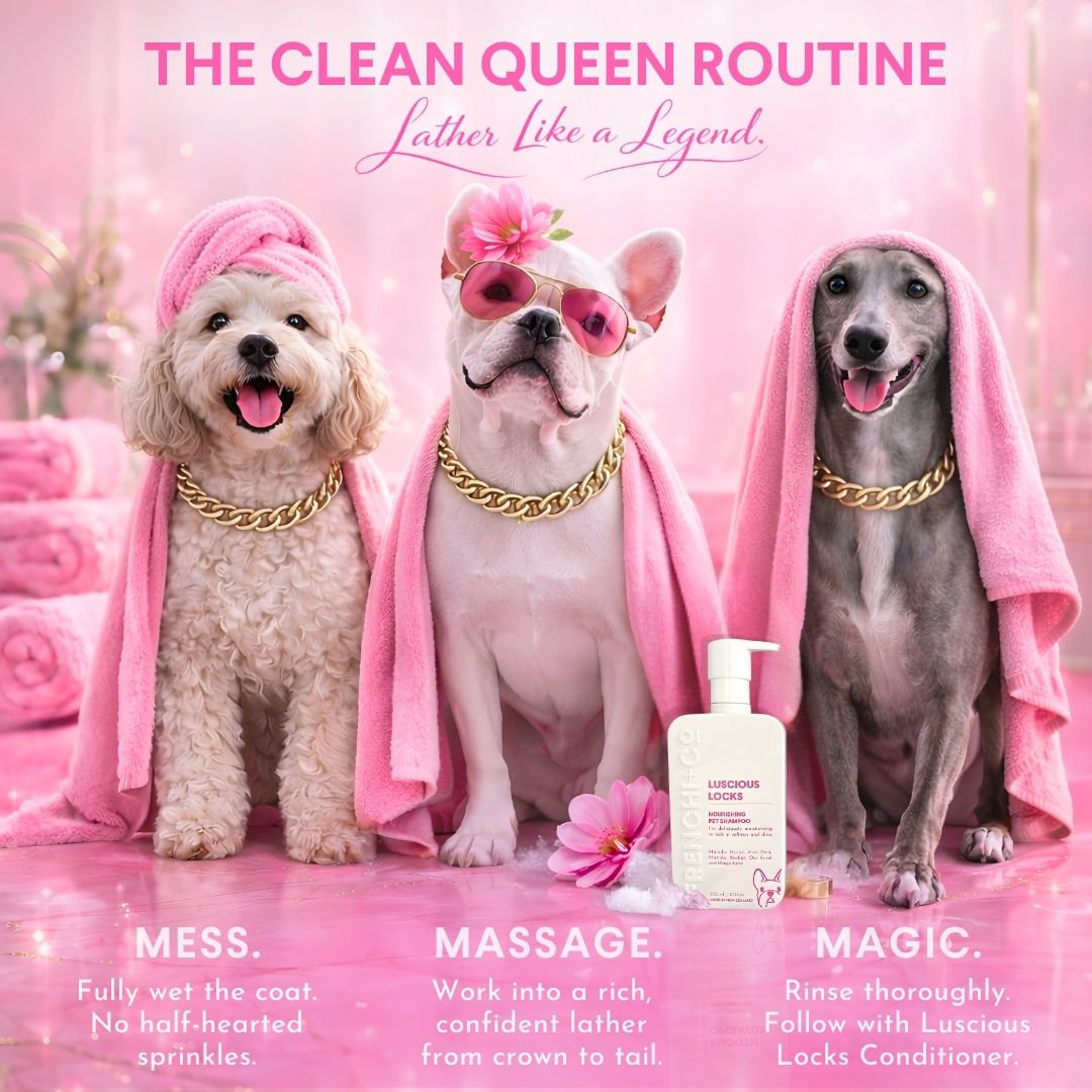 LUSCIOUS LOCKS | Nourishing Pet SHAMPOO