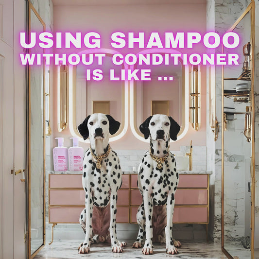 SMOOTH OPERATOR | TWIN PACK Hydrating Pet Shampoo and Conditioner