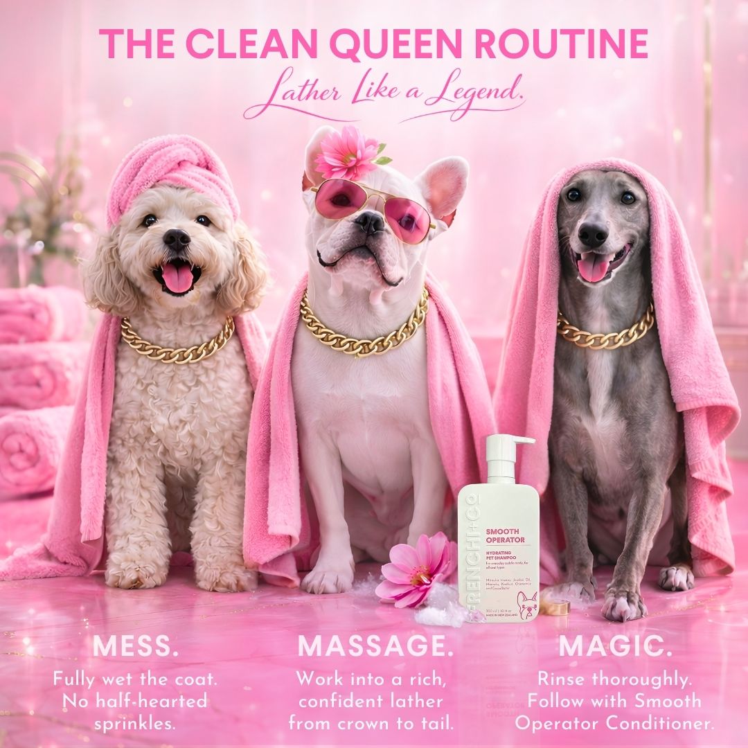 SMOOTH OPERATOR   |   Hydrating Pet SHAMPOO